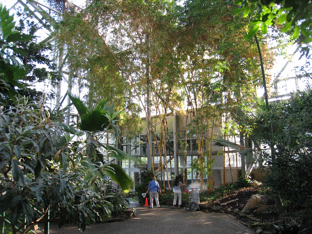 Michigans West Coast 2009 0555.jpg - Labor Day 2009. A trip along Michigans west coast to see beachs, art and buffets.